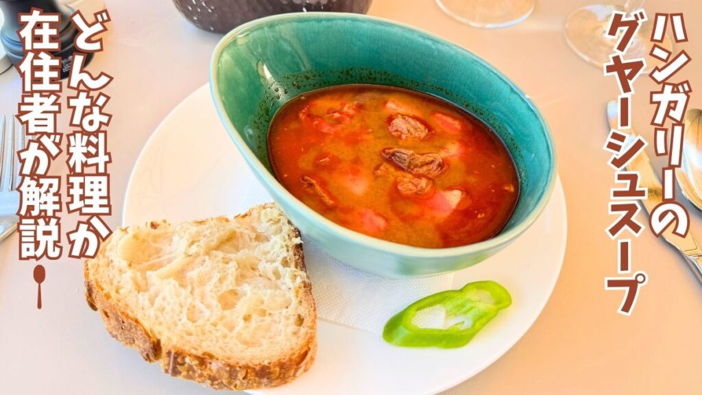 ブダペストの王宮の傍にあるAranybastyaレストランのグヤーシュスープ