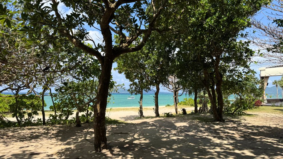 フサキビーチリゾートのコバルトブルーの海