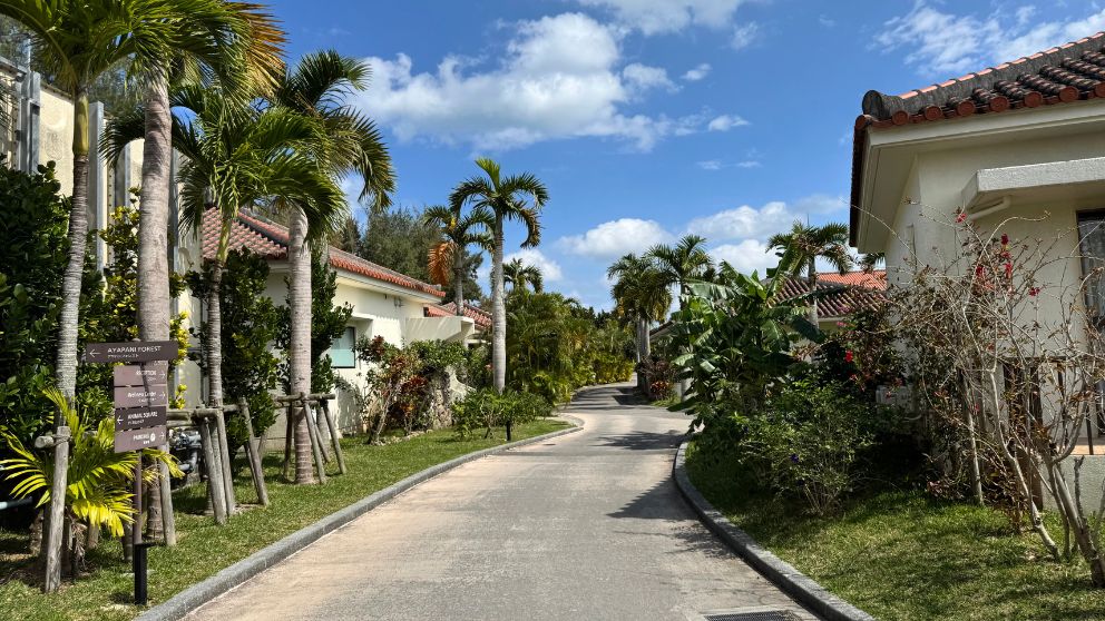 フサキビーチリゾートのカートが走る道の様子。晴れた日は南国感がます