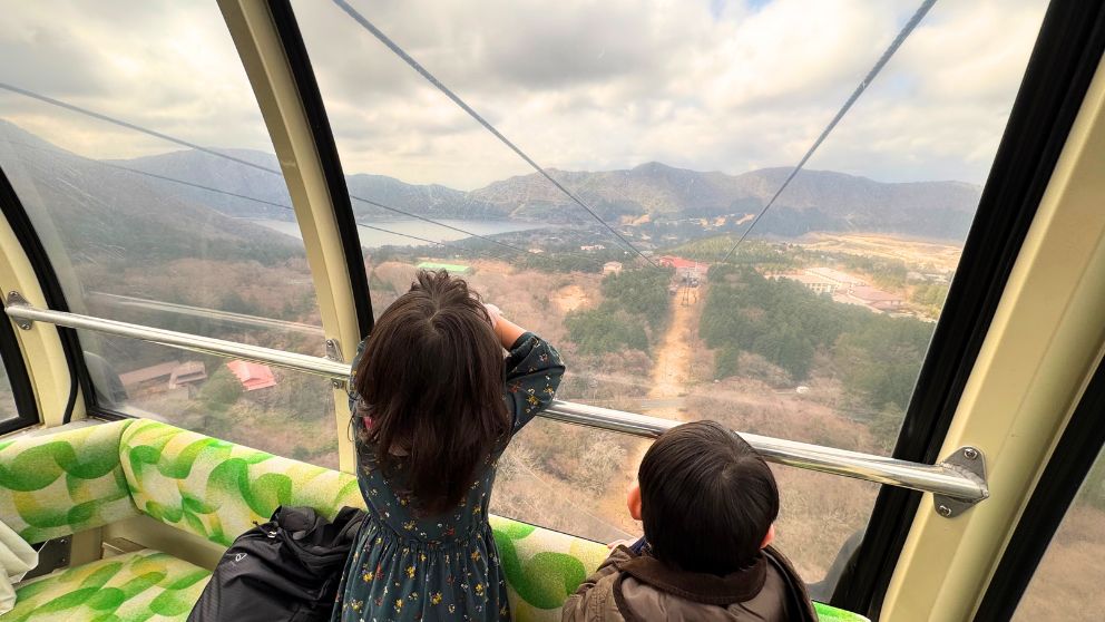 ロープウェイが山を越え、遠くに美しい芦ノ湖が見え始めた瞬間の車内からの眺望。