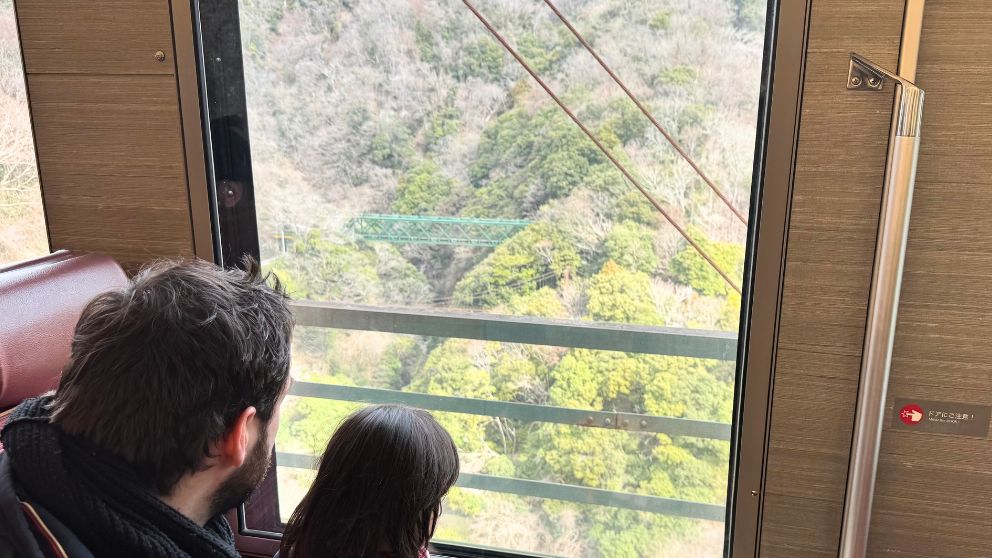 登山電車の大きな窓から、箱根の深い山々や木々を眺める乗客の様子