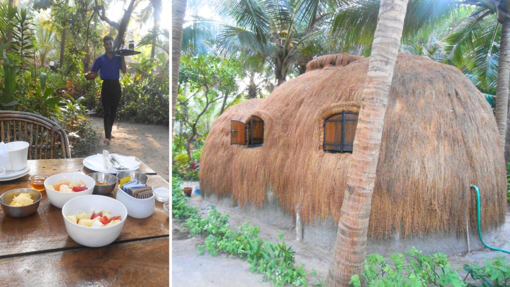 ヤシの木に囲まれたゴアのビーチバンガローと、緑に囲まれたオープンエアの朝食