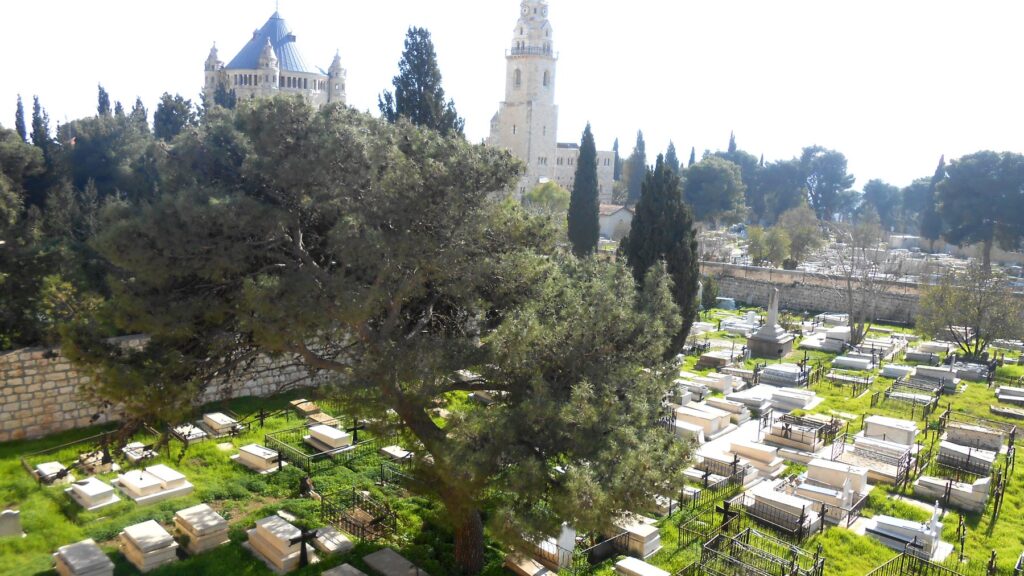 城壁から望むドルミティオン大聖堂とシオン山の墓地。青いドームの教会と緑の木々が広がる