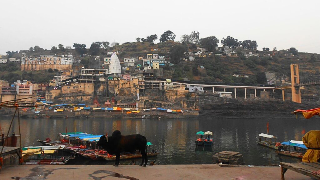 霧に包まれたナルマダ川沿いの聖地オンカレーシュワール、川べりに佇む牛と対岸の白い寺院