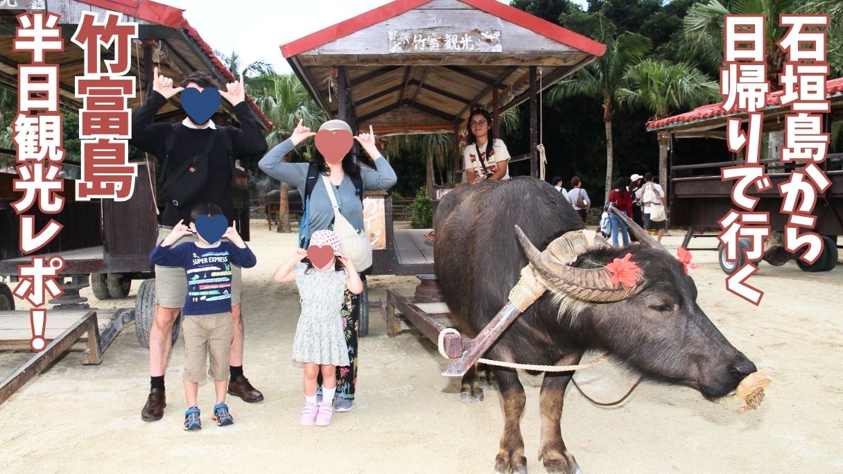 竹富観光センターで水牛のカイジ君と記念撮影をする家族。石垣島からの日帰り竹富島オプショナルツアーにて