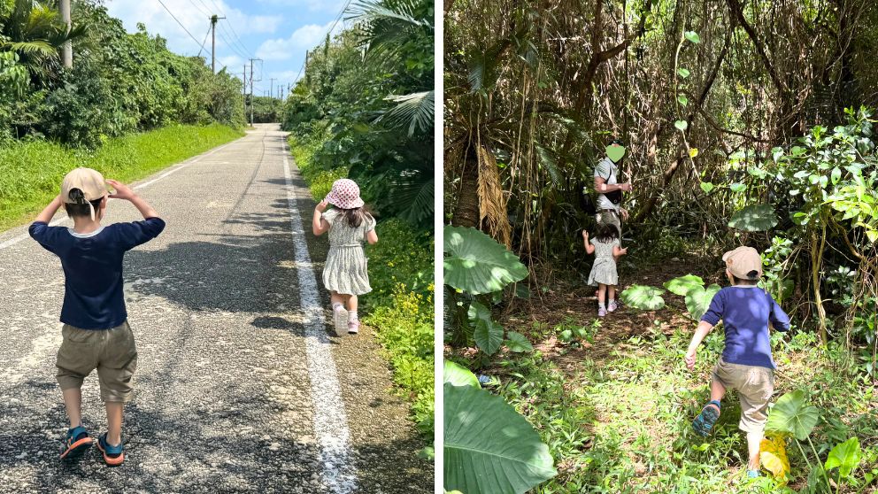 竹富島の道路沿いを歩く子どもたち。左は車道沿い、右は草むらの中を探検する様子