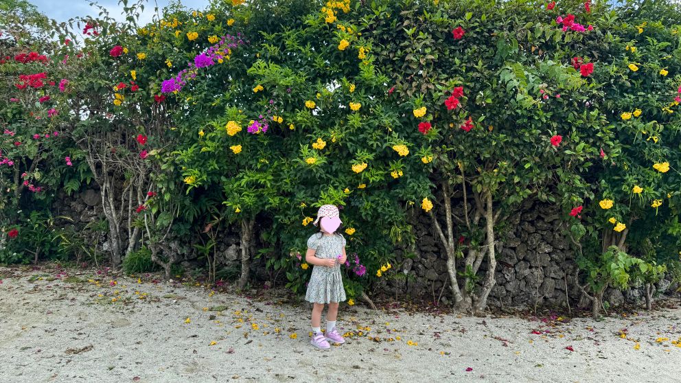 竹富島の珊瑚の石垣に咲くトロピカルな花々の前に立つ子ども