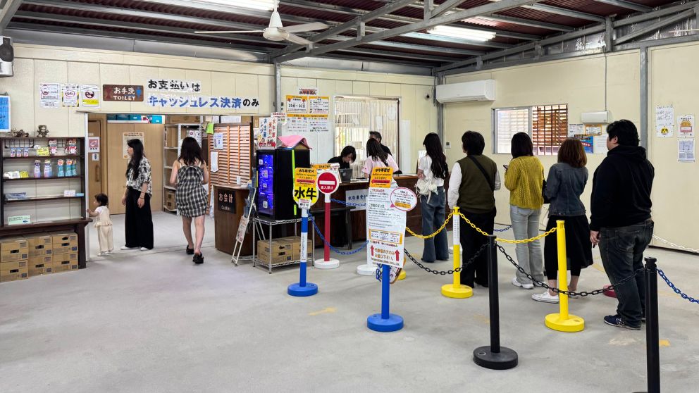 竹富観光センターの水牛車受付カウンターに並ぶ人々