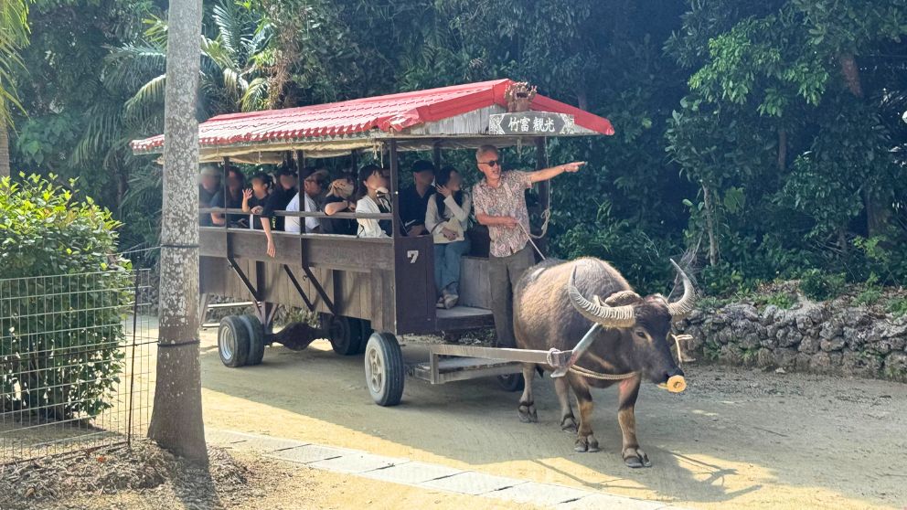 竹富観光センターの水牛車。御者さんが島の見どころを案内している様子
