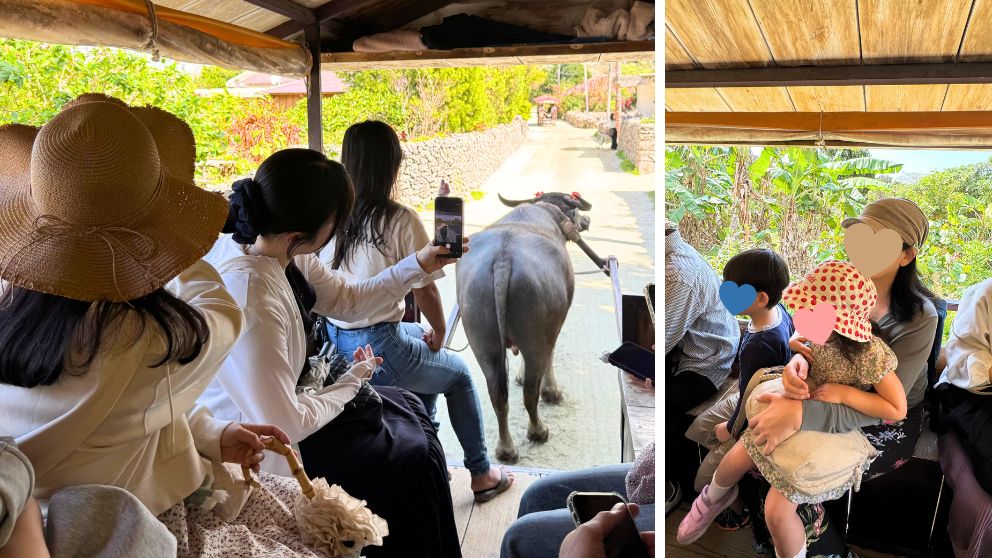 水牛車の車内の様子。左は集落を進む水牛、右は水牛車に乗る子どもたちの様子