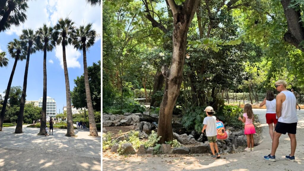 アテネ国立庭園の背の高い椰子の木と池をのぞき込む子どもたち