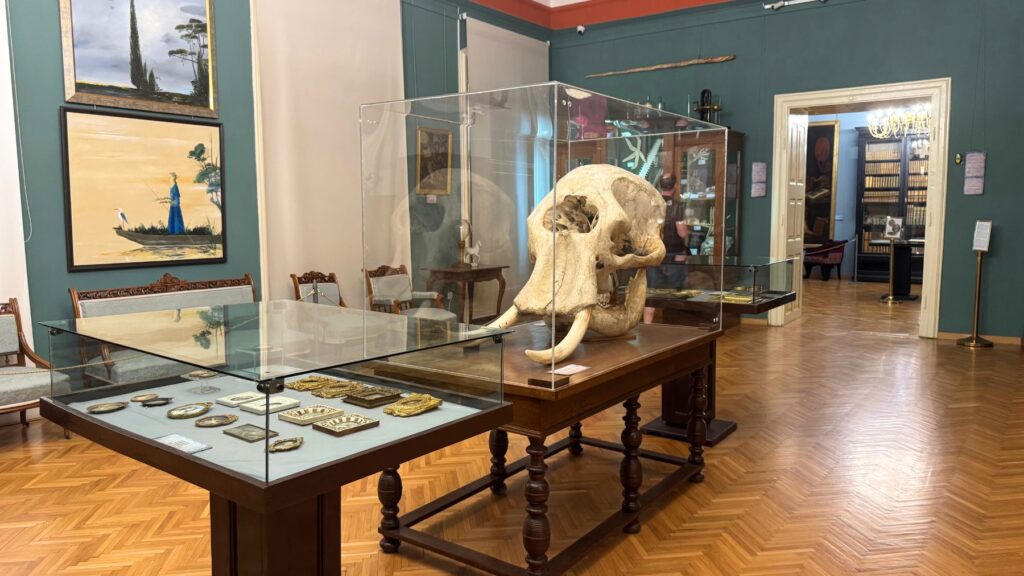ブルケンタール国立博物館の展示室。緑の壁に絵画が掛かり、ガラスケースに標本や工芸品が並ぶ