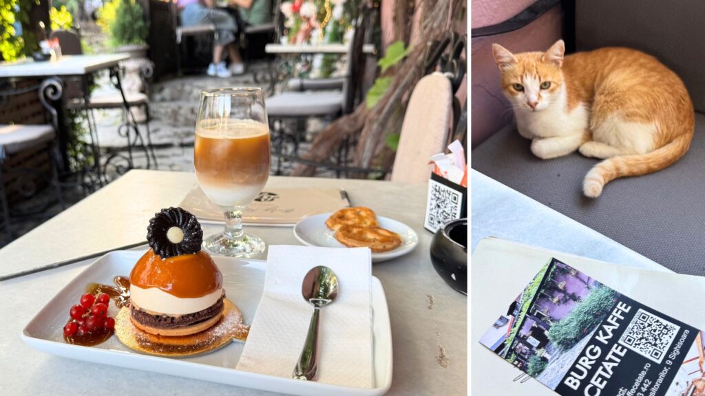 キャラメルムースのケーキとコーヒー、お店の茶白猫