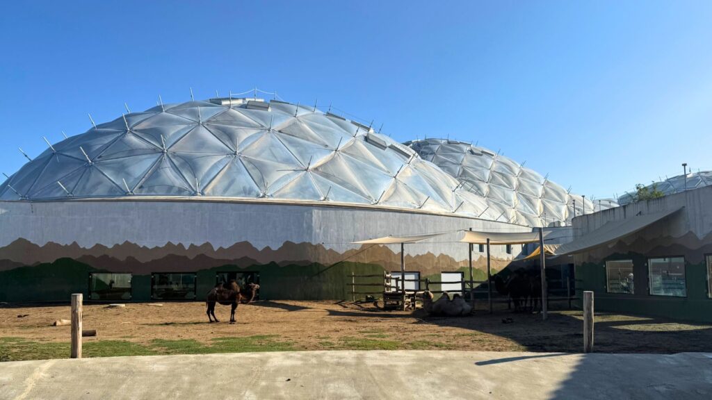 ラクダの屋外展示の向こうにそびえるBiodómの大きな白いドーム