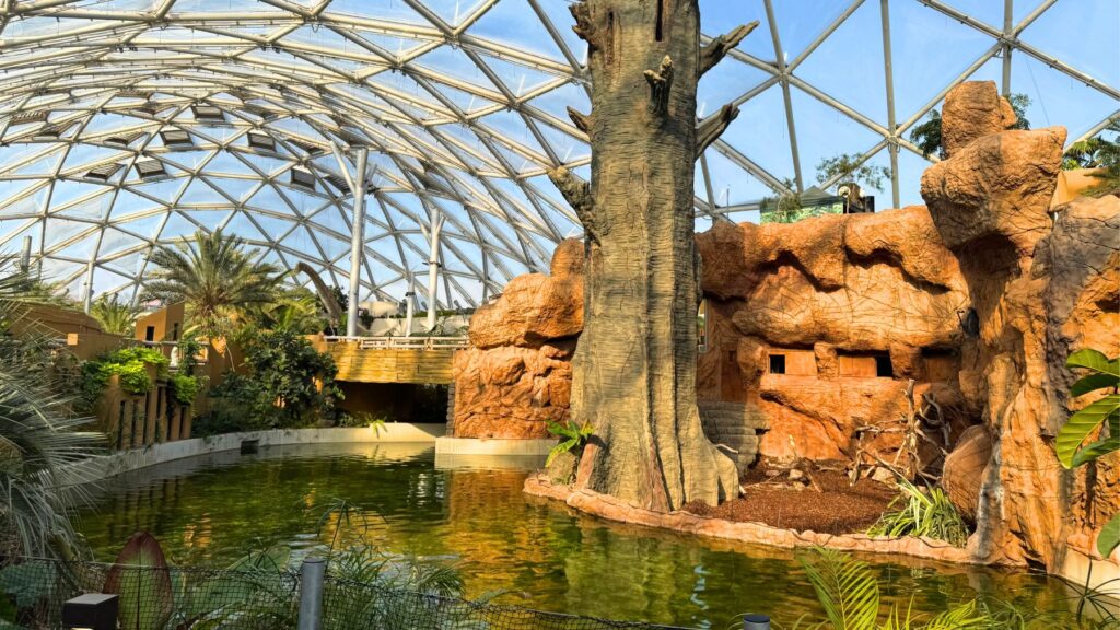 Biodómのドーム屋根の下に広がる池と植物、岩場や大きな木を模した展示