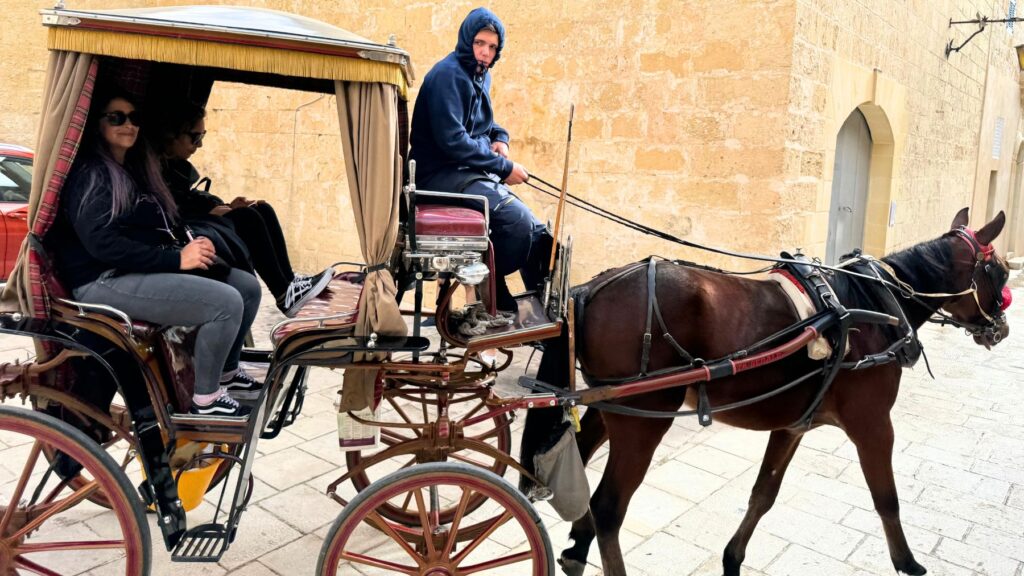 イムディーナの石畳の路地を進む観光用の馬車。