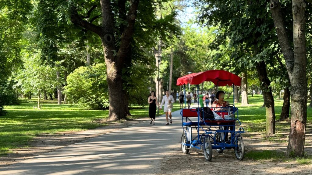 マルギット島の木々に囲まれた遊歩道と赤い屋根の四輪自転車bringóhintó