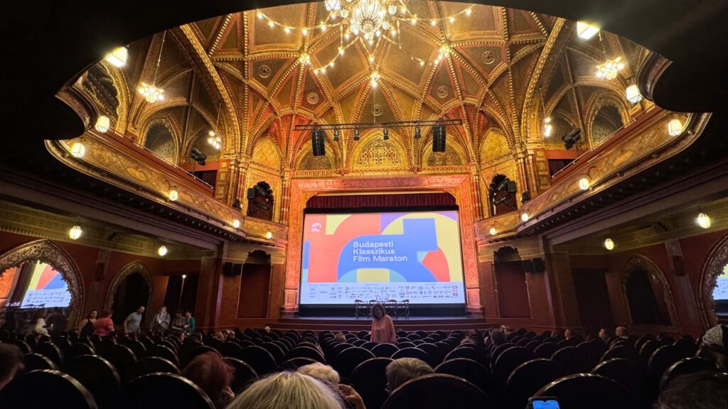 ウラーニア国立映画館の客席から見た映画祭のスクリーンと装飾豊かな天井